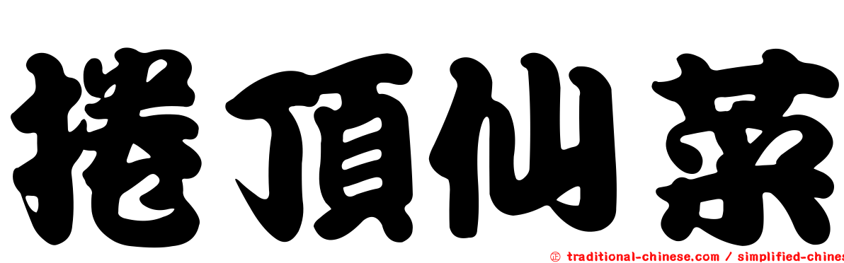 捲頂仙菜