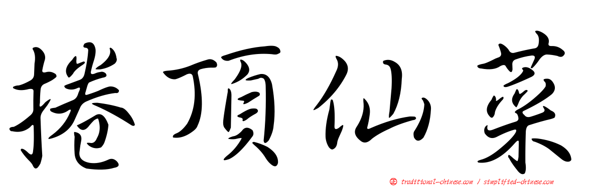 捲頂仙菜