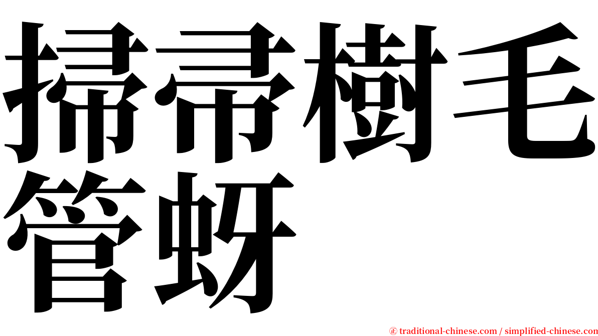 掃帚樹毛管蚜 serif font