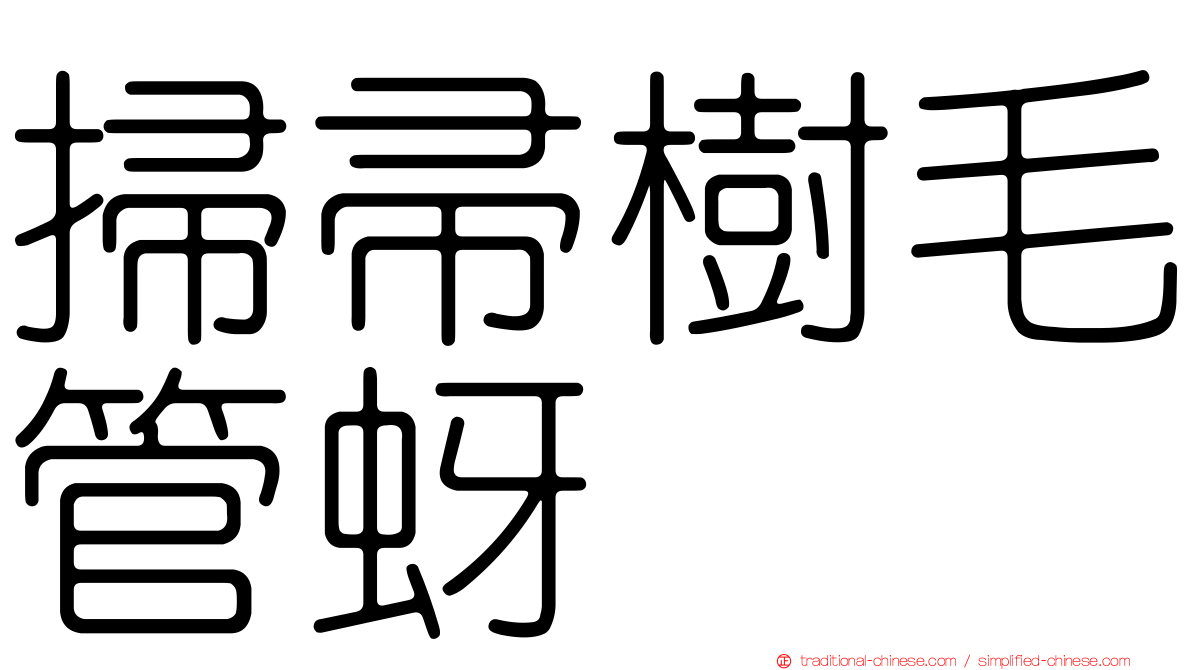 掃帚樹毛管蚜