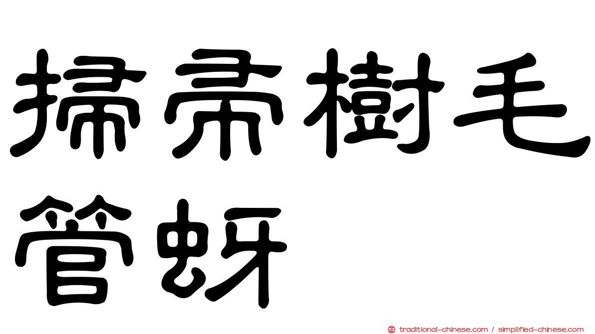 掃帚樹毛管蚜