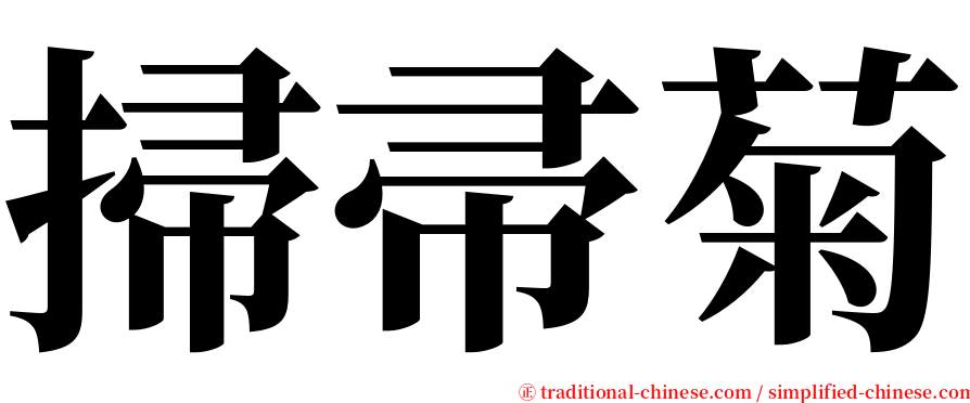 掃帚菊 serif font