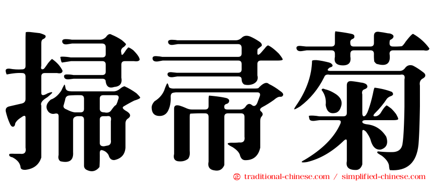 掃帚菊