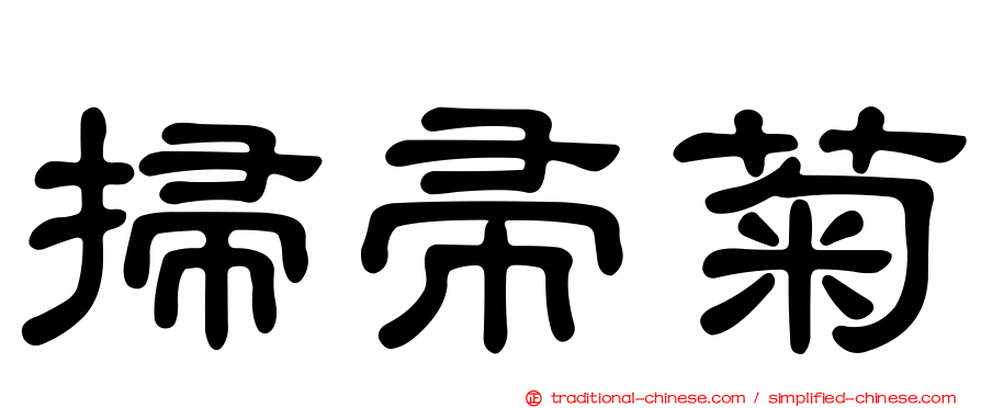 掃帚菊