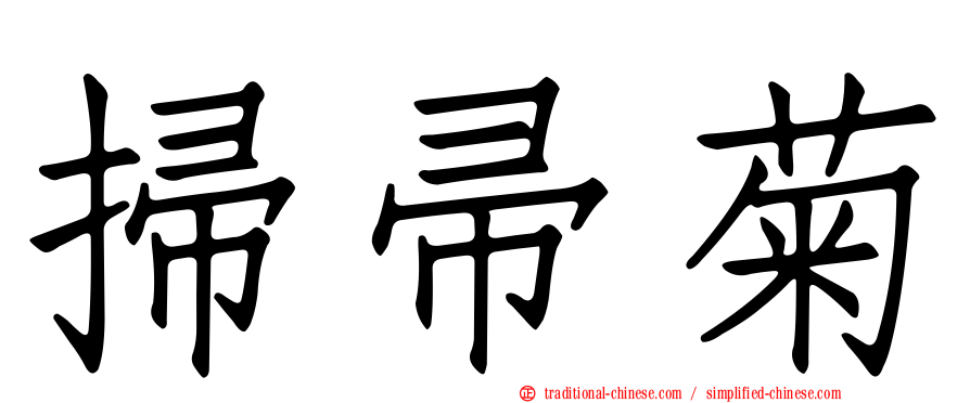 掃帚菊