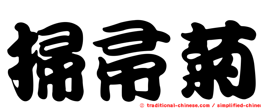 掃帚菊