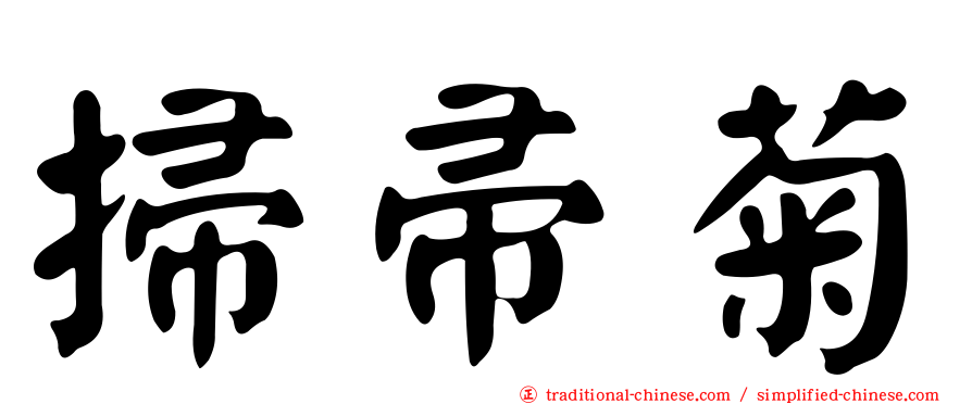 掃帚菊