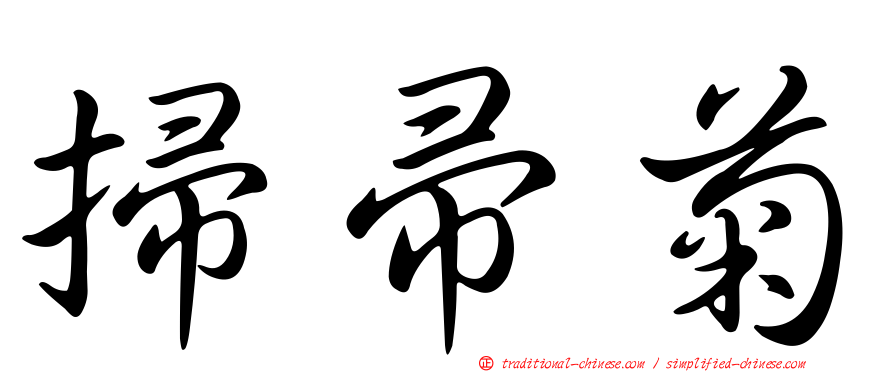 掃帚菊