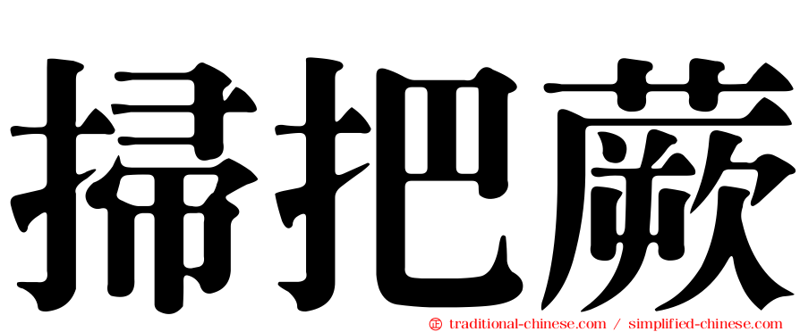 掃把蕨