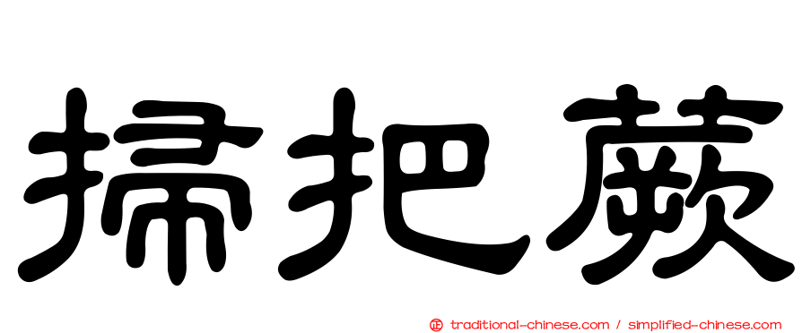 掃把蕨