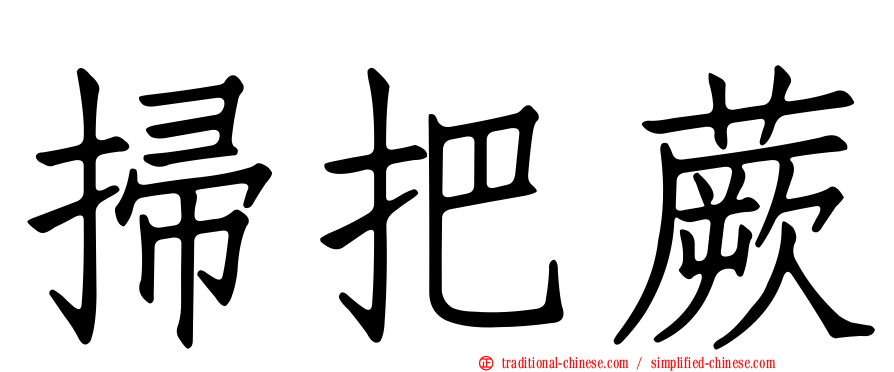 掃把蕨