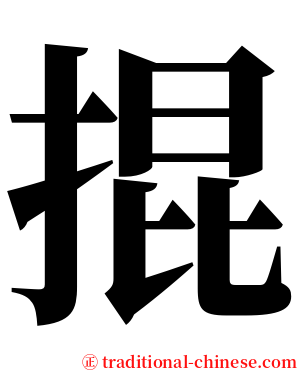 掍 serif font