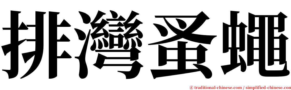 排灣蚤蠅 serif font