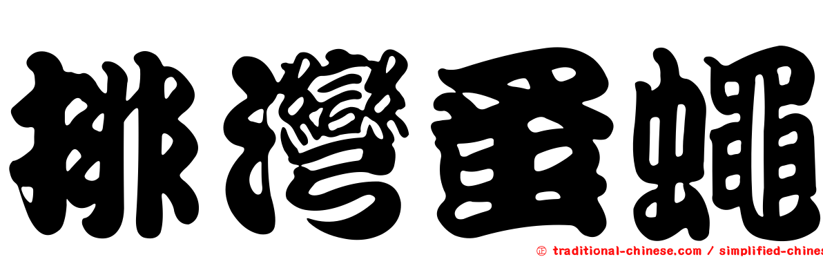 排灣蚤蠅