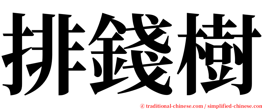 排錢樹 serif font