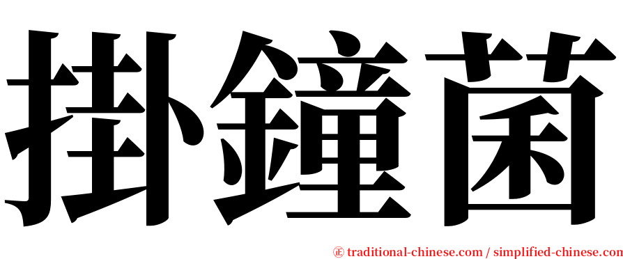 掛鐘菌 serif font
