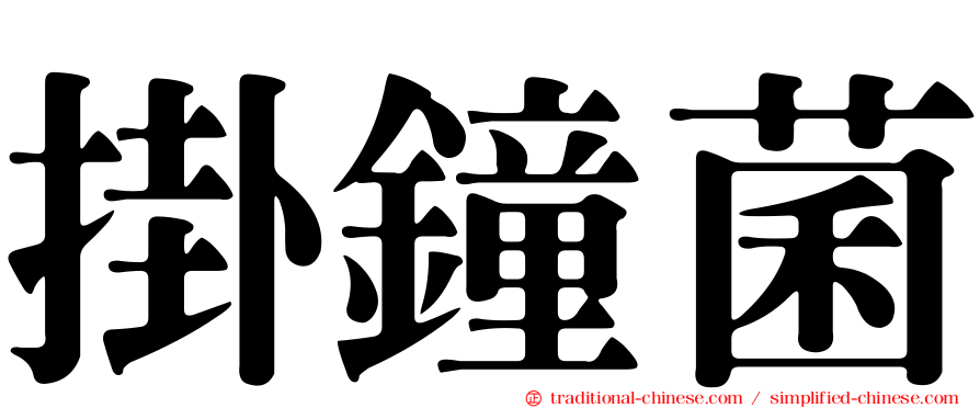 掛鐘菌