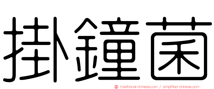 掛鐘菌