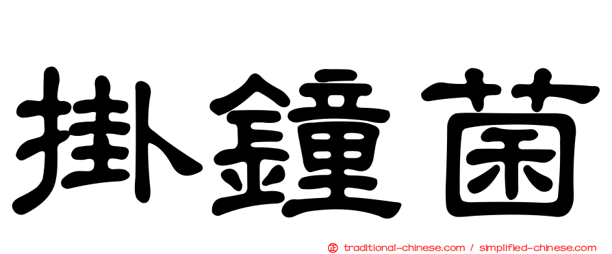 掛鐘菌