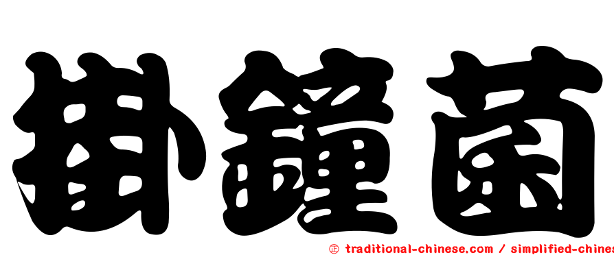 掛鐘菌