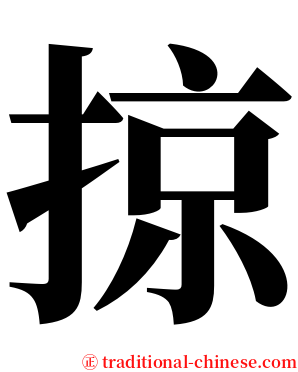 掠 serif font