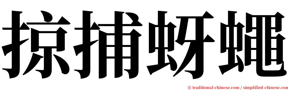 掠捕蚜蠅 serif font