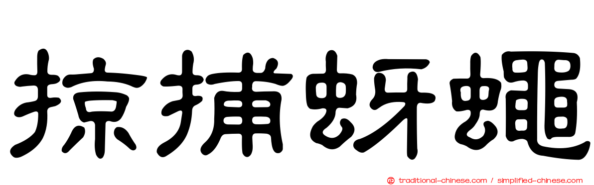 掠捕蚜蠅