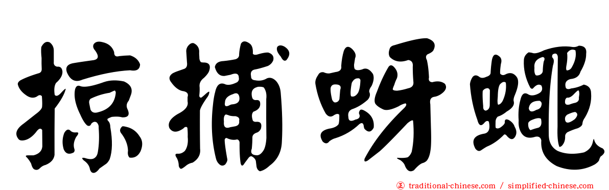 掠捕蚜蠅