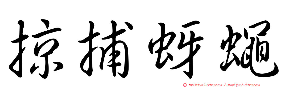 掠捕蚜蠅