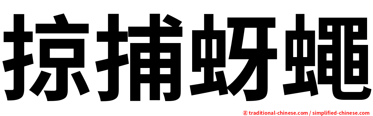 掠捕蚜蠅