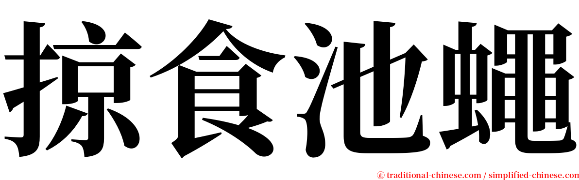 掠食池蠅 serif font