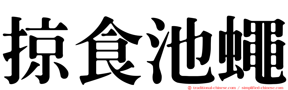 掠食池蠅