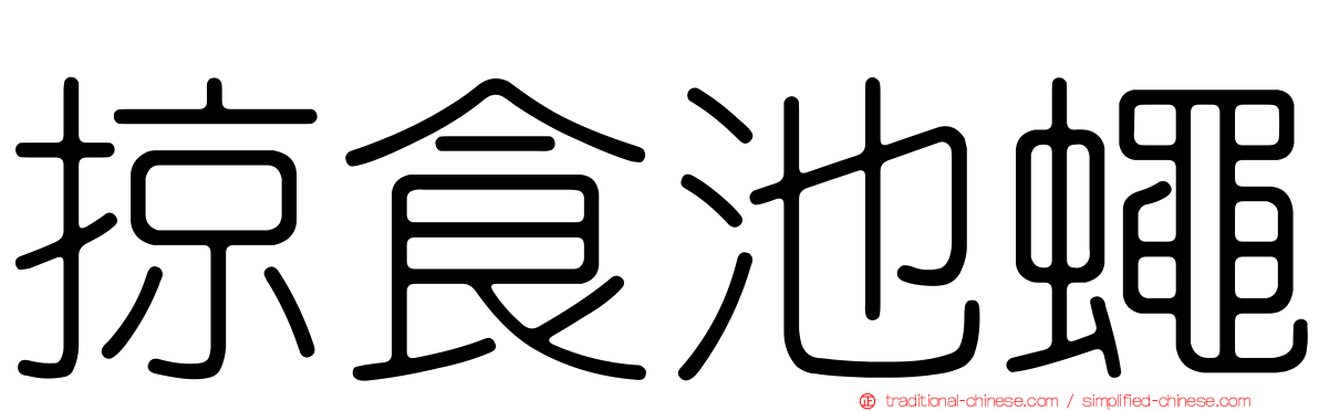 掠食池蠅