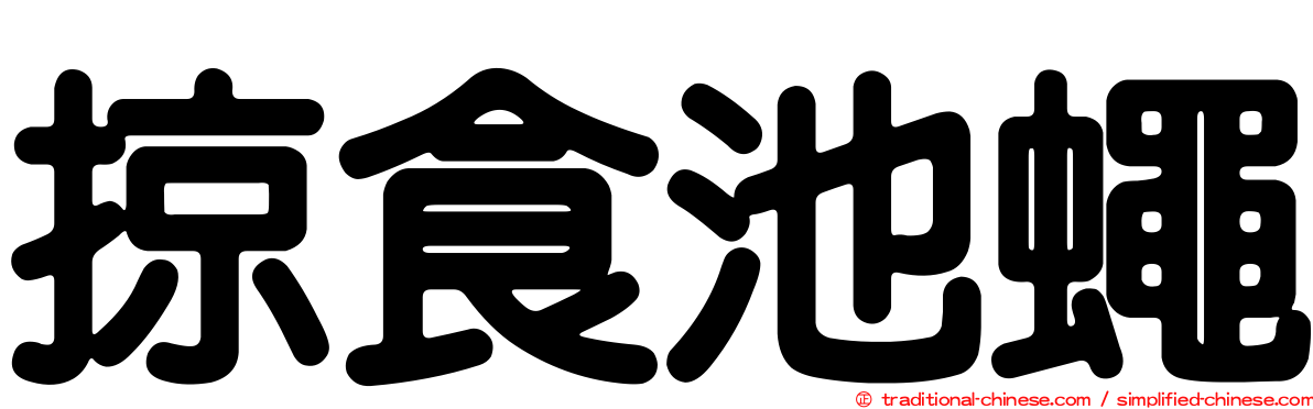 掠食池蠅