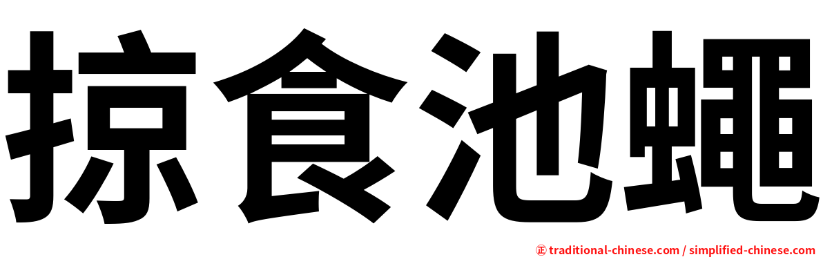 掠食池蠅
