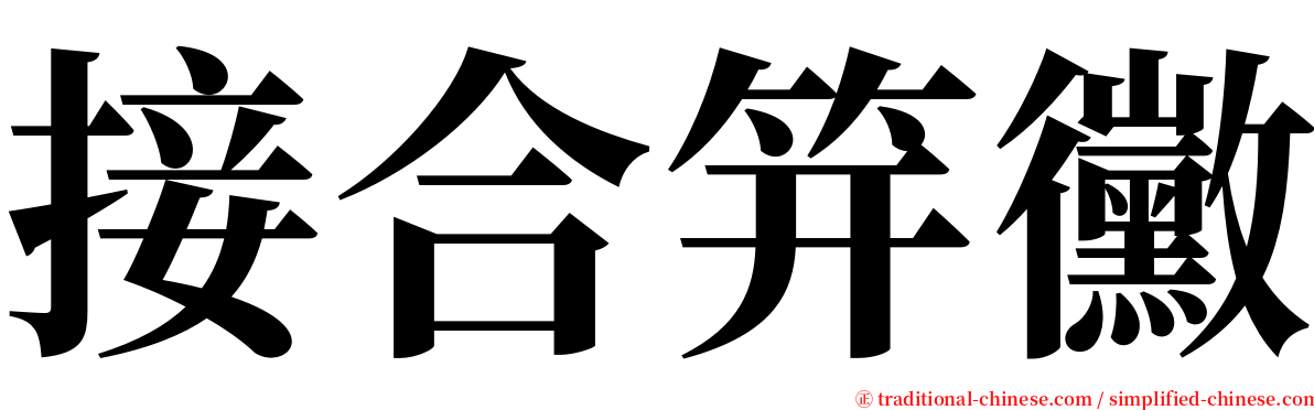 接合笄黴 serif font