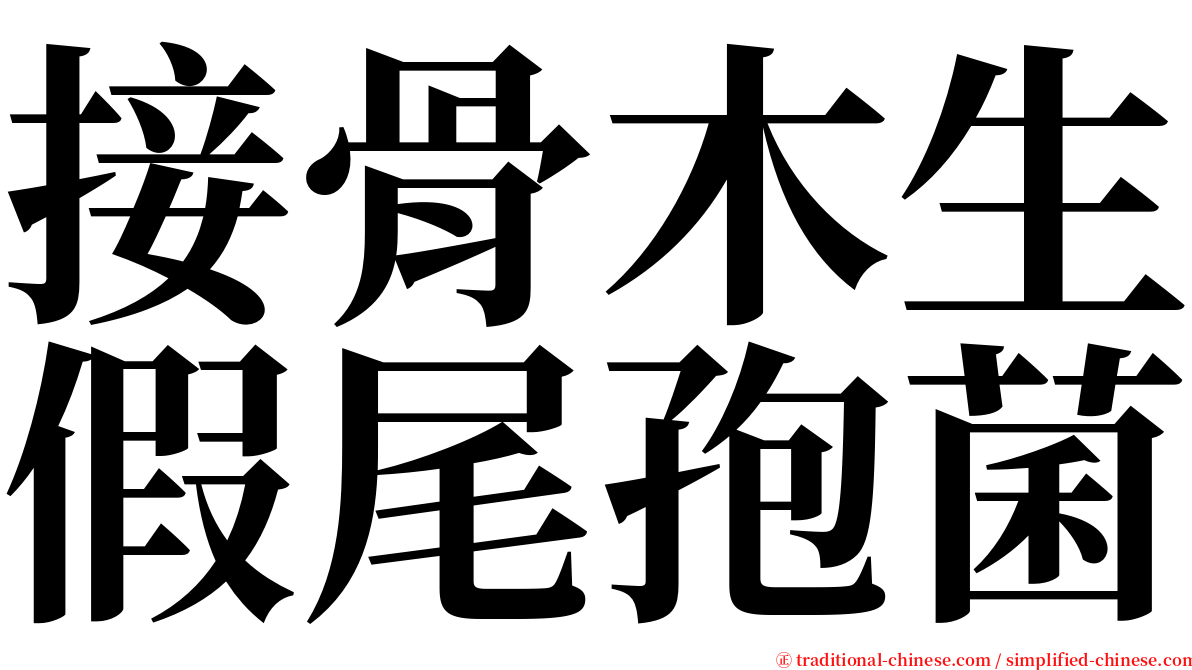接骨木生假尾孢菌 serif font