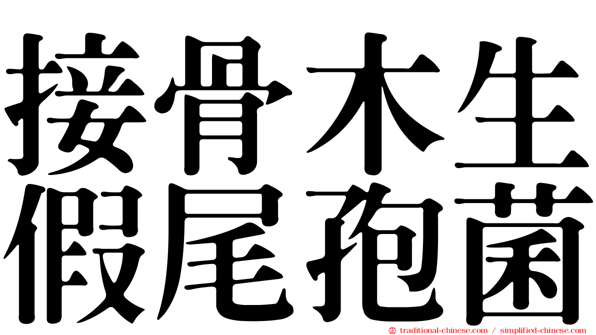 接骨木生假尾孢菌