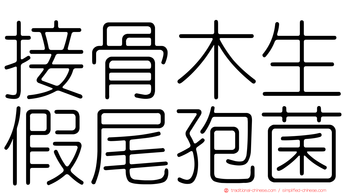 接骨木生假尾孢菌