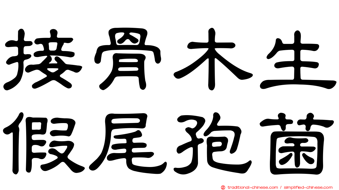接骨木生假尾孢菌