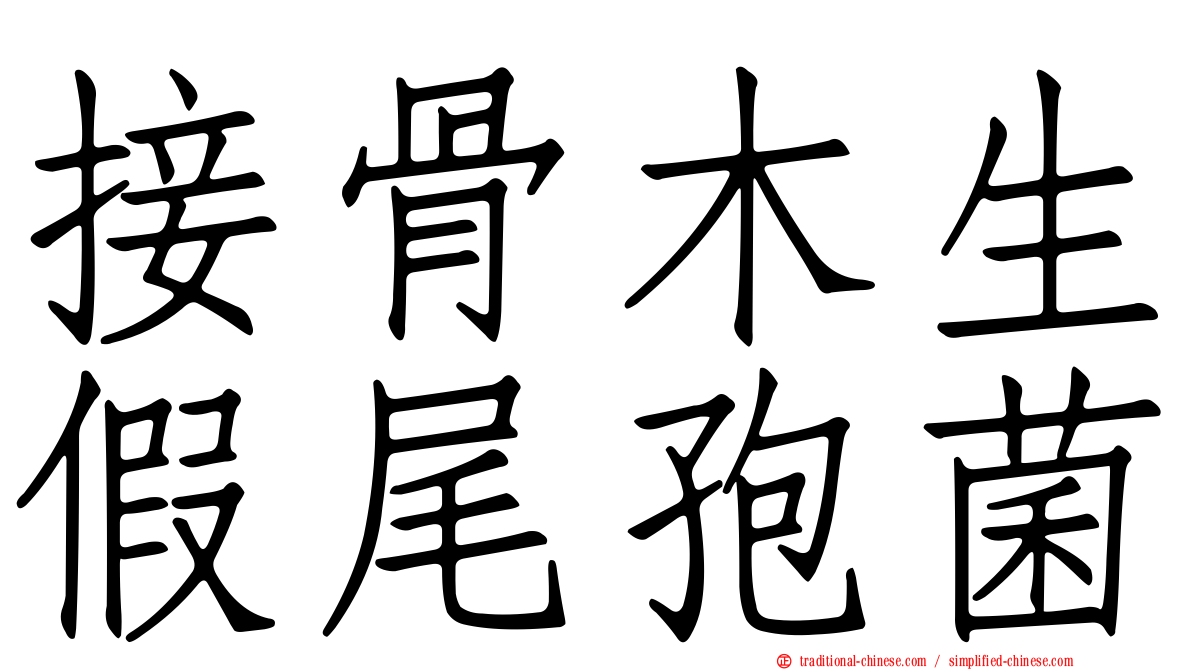 接骨木生假尾孢菌