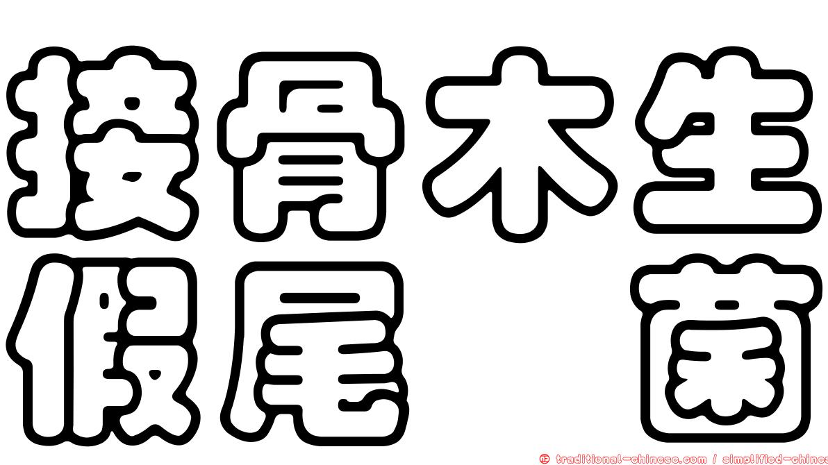 接骨木生假尾孢菌