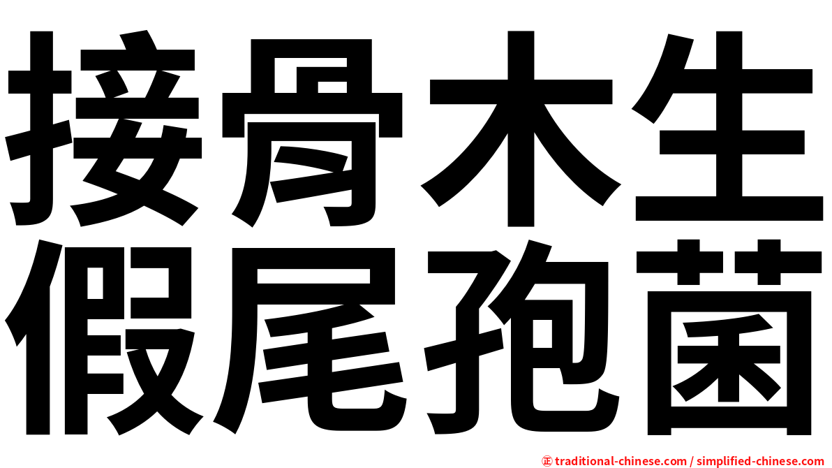 接骨木生假尾孢菌