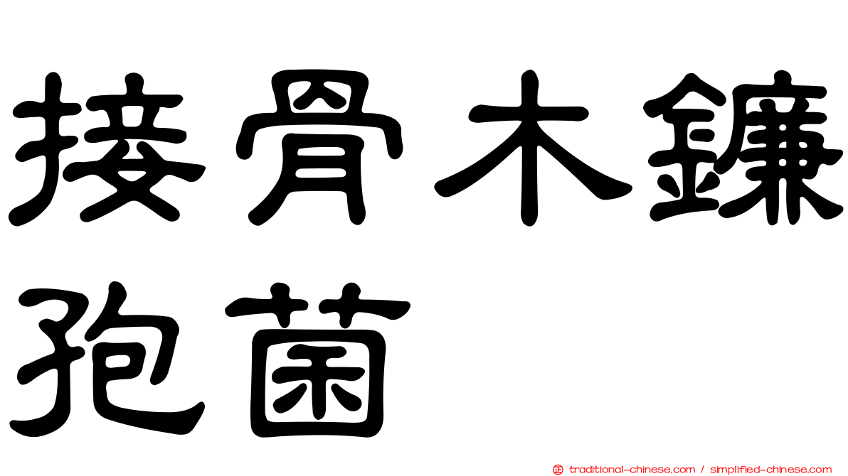 接骨木鐮孢菌
