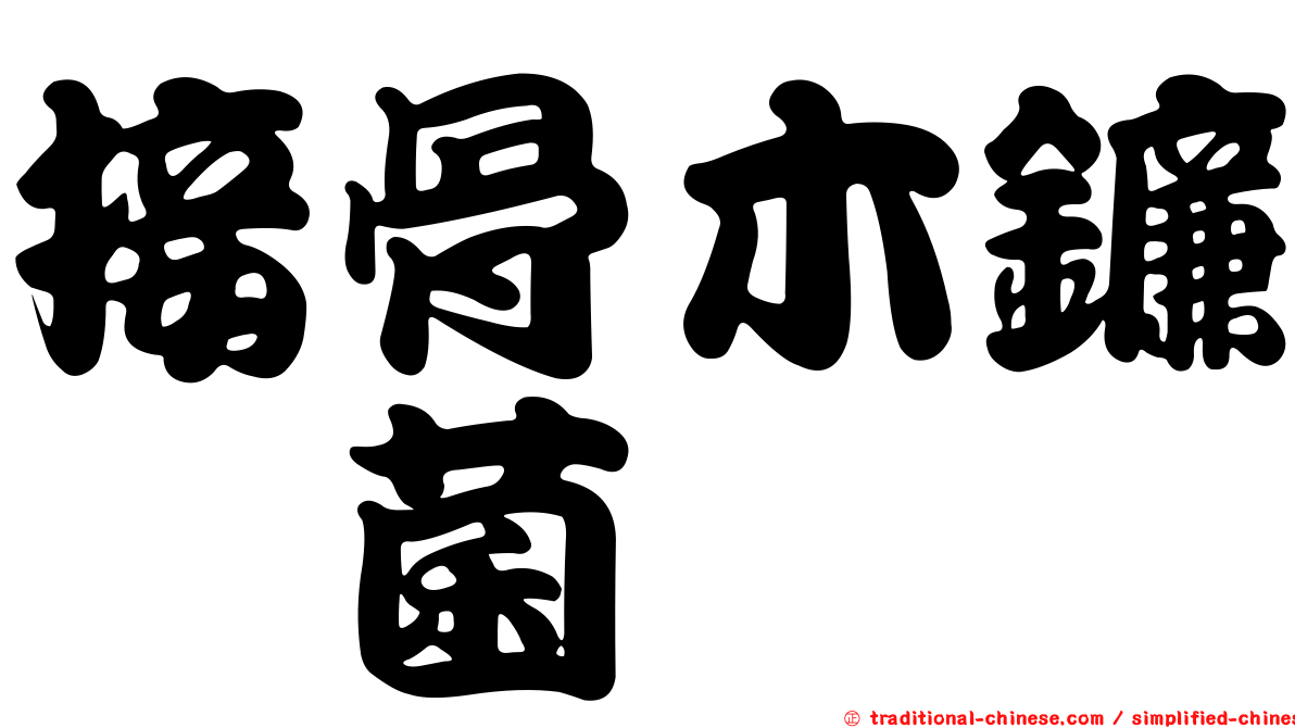 接骨木鐮孢菌
