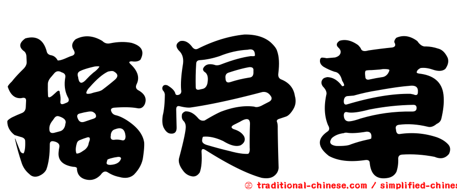 接骨草