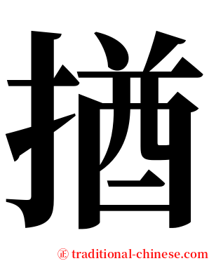 揂 serif font