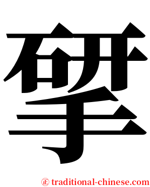 揅 serif font