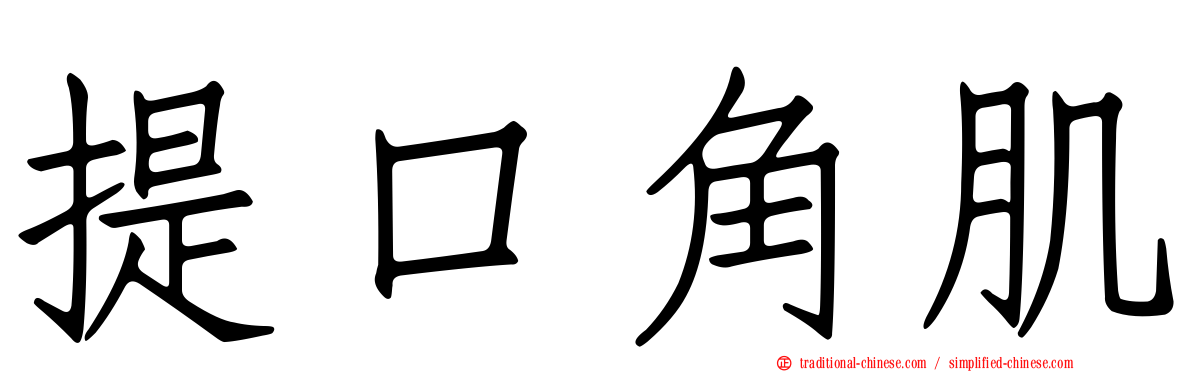 提口角肌