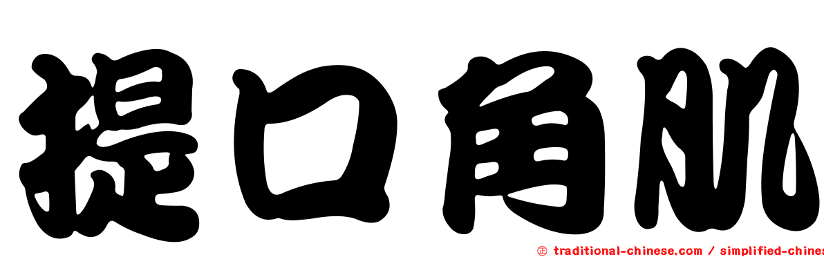提口角肌